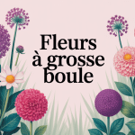 illustration stylisée fleurs grosse boule jardin
