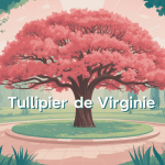 tulipier de virginie inconvénients image arbre majestueux jardin